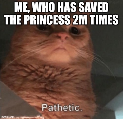 Pathetic Cat | ME, WHO HAS SAVED THE PRINCESS 2M TIMES | image tagged in pathetic cat | made w/ Imgflip meme maker