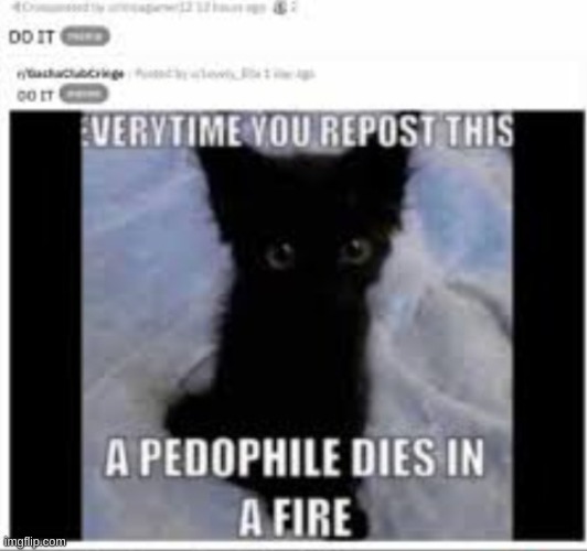 repost this | image tagged in idk | made w/ Imgflip meme maker