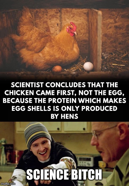 Biology | SCIENCE BITCH | image tagged in jesse pinkman yeah science bitch,biology,chicken,egg | made w/ Imgflip meme maker