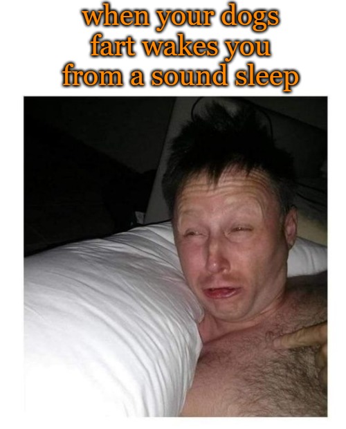when your dogs fart wakes you from a sound sleep | made w/ Imgflip meme maker