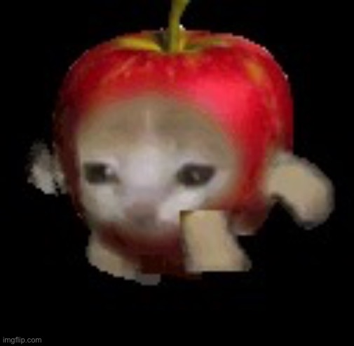 Apple Kitty | image tagged in apple kitty | made w/ Imgflip meme maker
