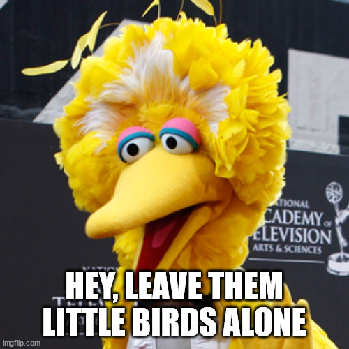 Big Bird Meme | HEY, LEAVE THEM LITTLE BIRDS ALONE | image tagged in memes,big bird | made w/ Imgflip meme maker