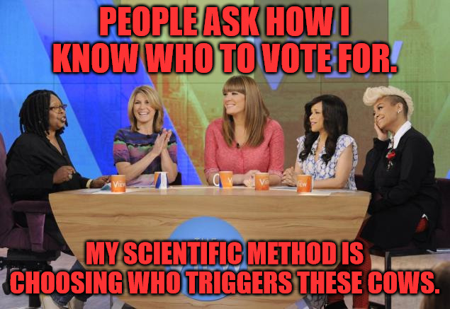 How I Vote | PEOPLE ASK HOW I KNOW WHO TO VOTE FOR. MY SCIENTIFIC METHOD IS CHOOSING WHO TRIGGERS THESE COWS. | image tagged in the view | made w/ Imgflip meme maker