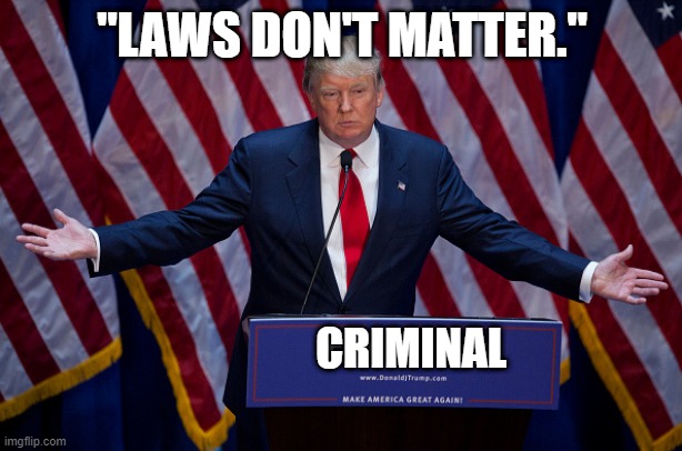 Donald Trump | "LAWS DON'T MATTER." CRIMINAL | image tagged in donald trump | made w/ Imgflip meme maker
