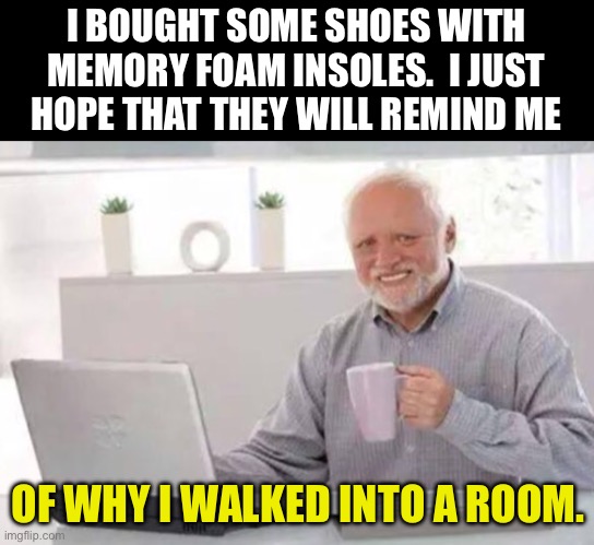 Memory | I BOUGHT SOME SHOES WITH MEMORY FOAM INSOLES.  I JUST HOPE THAT THEY WILL REMIND ME; OF WHY I WALKED INTO A ROOM. | image tagged in harold | made w/ Imgflip meme maker