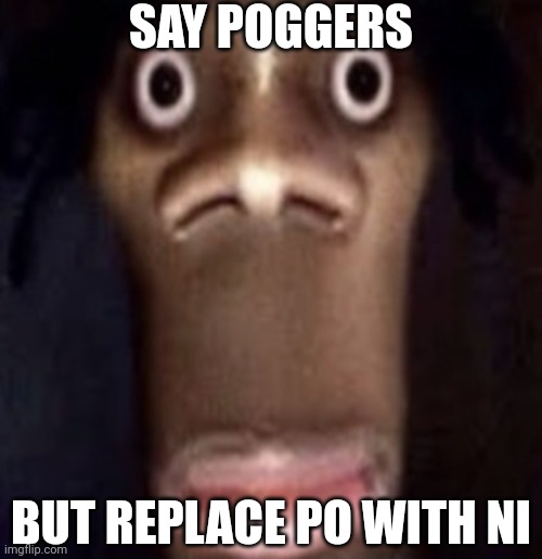 Quandale dingle | SAY POGGERS; BUT REPLACE PO WITH NI | image tagged in quandale dingle | made w/ Imgflip meme maker