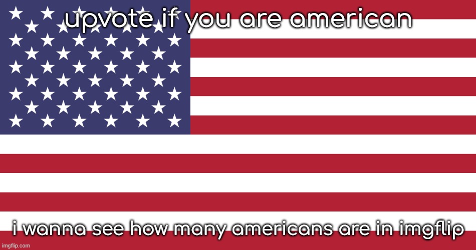 im not | upvote if you are american; i wanna see how many americans are in imgflip | image tagged in stop,reading,the,tags | made w/ Imgflip meme maker