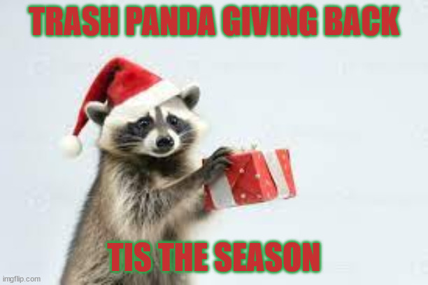 Tis the Season | TRASH PANDA GIVING BACK; TIS THE SEASON | image tagged in raccoon,giving,xmas,season,trash panda | made w/ Imgflip meme maker