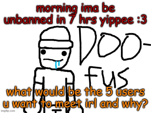 doofus | morning ima be unbanned in 7 hrs yippee :3; what would be the 5 users u want to meet irl and why? | image tagged in doofus | made w/ Imgflip meme maker