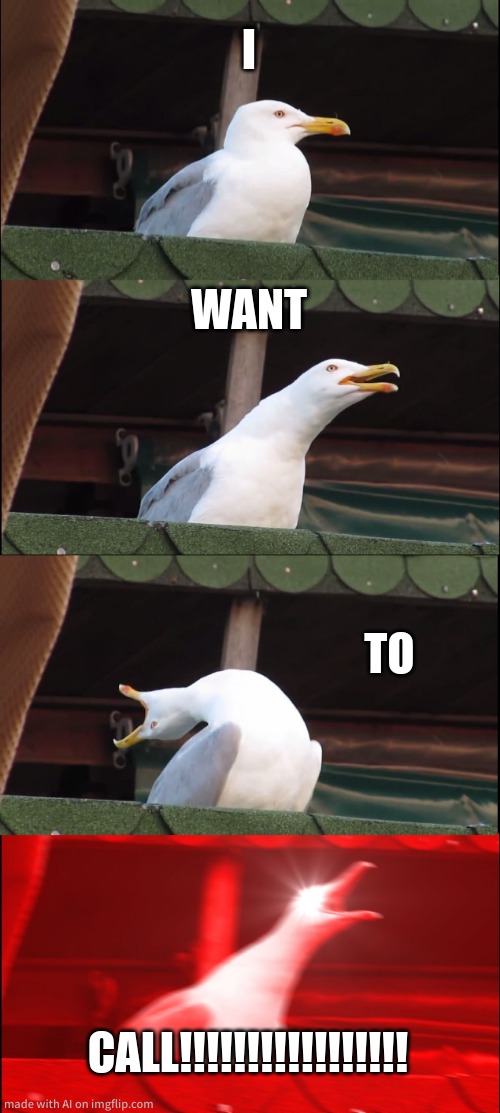OHMYGODAIACTUALLYMADESOMETHINGGOOD | I; WANT; TO; CALL!!!!!!!!!!!!!!!!! | image tagged in memes,inhaling seagull,relatable | made w/ Imgflip meme maker