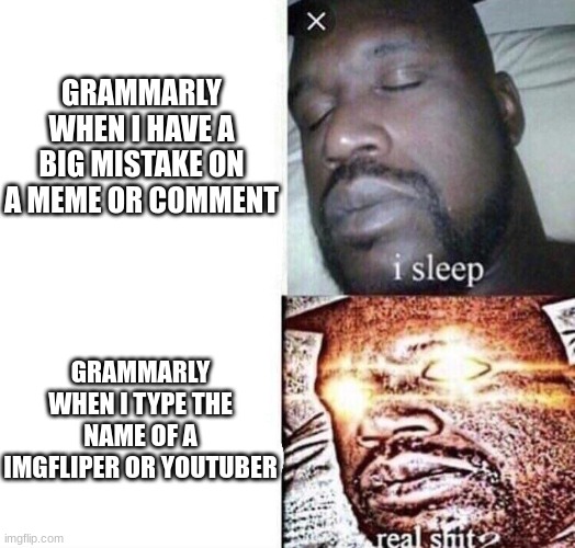 fr tho | GRAMMARLY WHEN I HAVE A BIG MISTAKE ON A MEME OR COMMENT; GRAMMARLY WHEN I TYPE THE NAME OF A IMGFLIPER OR YOUTUBER | image tagged in i sleep real shit | made w/ Imgflip meme maker