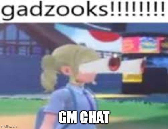 gazooks!!!!!! | GM CHAT | image tagged in gazooks | made w/ Imgflip meme maker