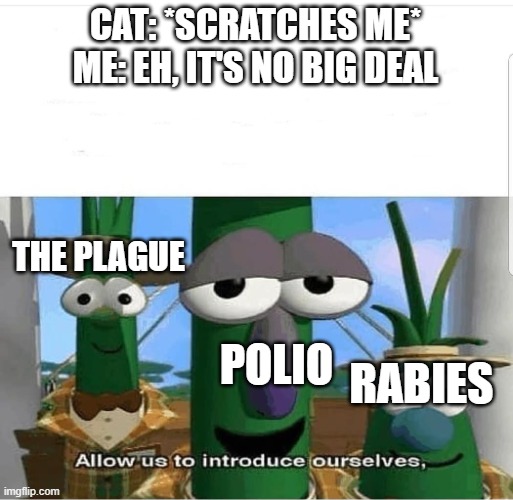 Allow us to introduce ourselves | CAT: *SCRATCHES ME*
ME: EH, IT'S NO BIG DEAL; THE PLAGUE; POLIO; RABIES | image tagged in allow us to introduce ourselves | made w/ Imgflip meme maker