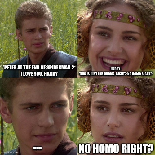 Spiderman 2 ending was so sad :< | *PETER AT THE END OF SPIDERMAN 2*
I LOVE YOU, HARRY; HARRY:
THIS IS JUST FOR DRAMA, RIGHT? NO HOMO RIGHT? ... NO HOMO RIGHT? | image tagged in anakin padme 4 panel | made w/ Imgflip meme maker