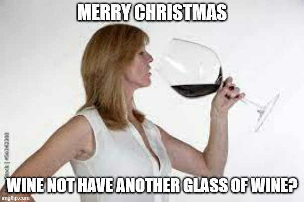 meme by Brad have another glass of wine for Christmas | MERRY CHRISTMAS; WINE NOT HAVE ANOTHER GLASS OF WINE? | image tagged in christmas | made w/ Imgflip meme maker