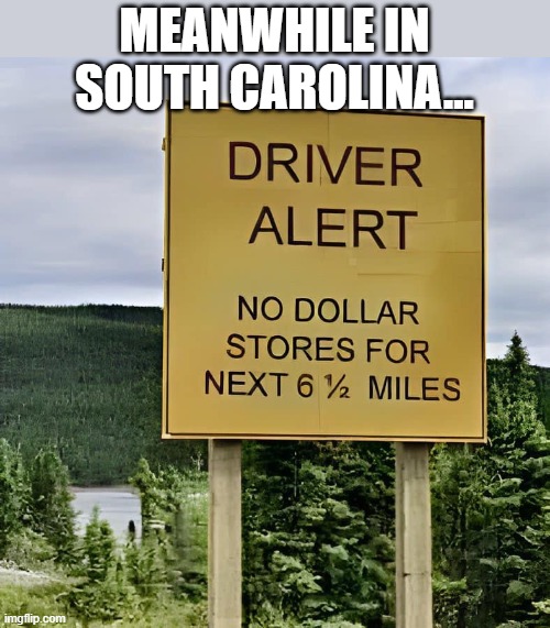 $STORES | MEANWHILE IN SOUTH CAROLINA... | image tagged in south carolina,dollar stores | made w/ Imgflip meme maker