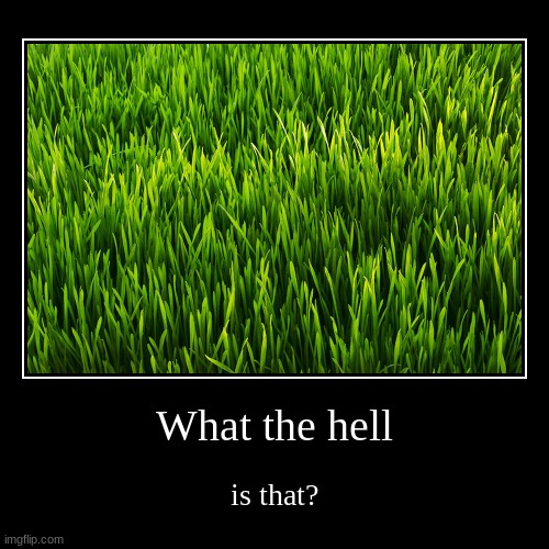a | What the hell | is that? | image tagged in grass | made w/ Imgflip demotivational maker
