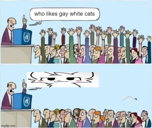 Literally twitter | who likes gay white cats | image tagged in people raising hands | made w/ Imgflip meme maker