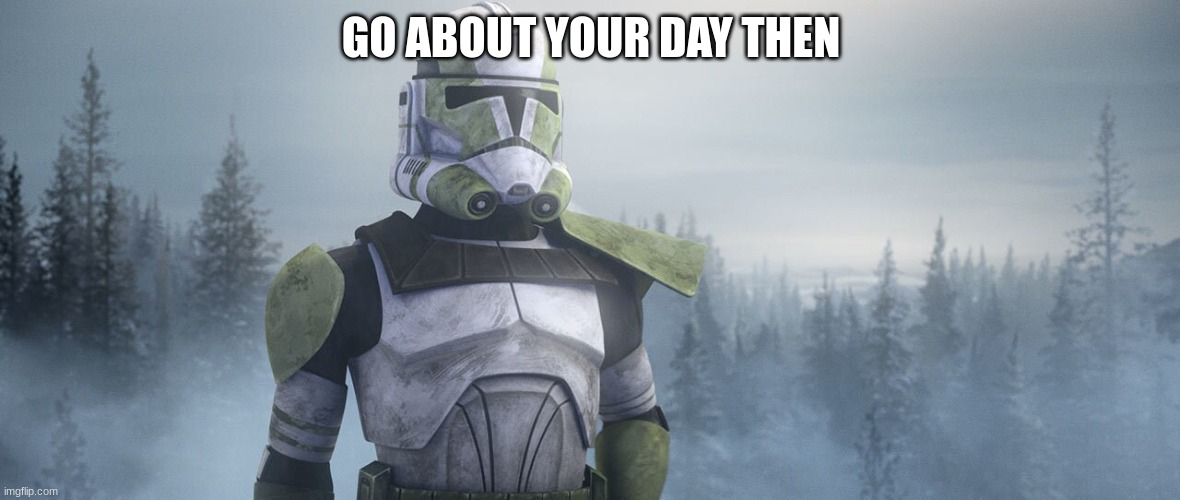 clone trooper | GO ABOUT YOUR DAY THEN | image tagged in clone trooper | made w/ Imgflip meme maker