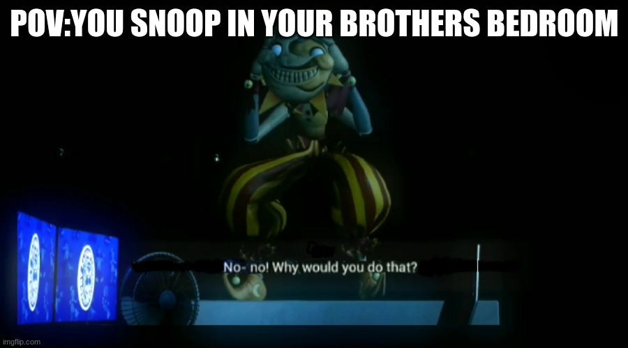 Why would you do that? | POV:YOU SNOOP IN YOUR BROTHERS BEDROOM | image tagged in why would you do that | made w/ Imgflip meme maker