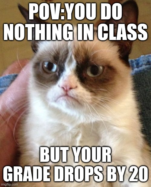 Grumpy Cat | POV:YOU DO NOTHING IN CLASS; BUT YOUR GRADE DROPS BY 20 | image tagged in memes,grumpy cat | made w/ Imgflip meme maker