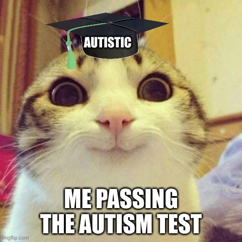Me Being Autistic | AUTISTIC; ME PASSING THE AUTISM TEST | image tagged in memes,smiling cat | made w/ Imgflip meme maker