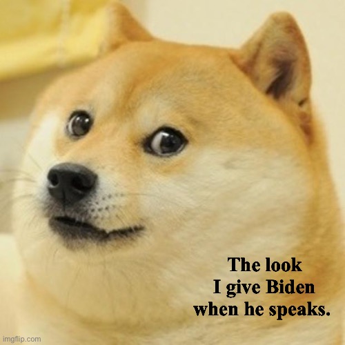 Doge Meme | The look I give Biden when he speaks. | image tagged in memes,doge | made w/ Imgflip meme maker