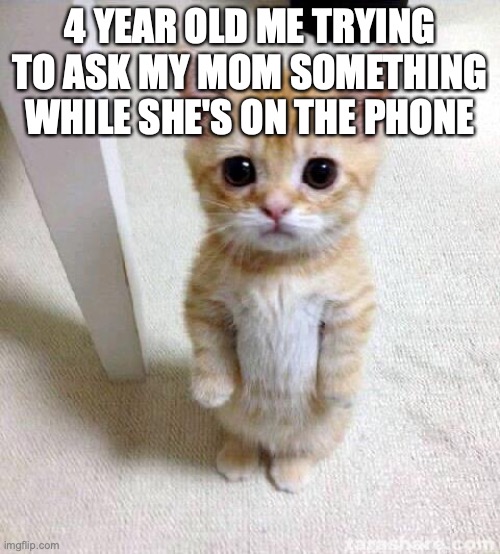 Cute Cat | 4 YEAR OLD ME TRYING TO ASK MY MOM SOMETHING WHILE SHE'S ON THE PHONE | image tagged in memes,cute cat | made w/ Imgflip meme maker