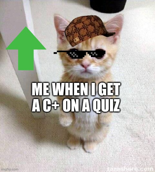 Cute Cat Meme | ME WHEN I GET A C+ ON A QUIZ | image tagged in memes,cute cat | made w/ Imgflip meme maker