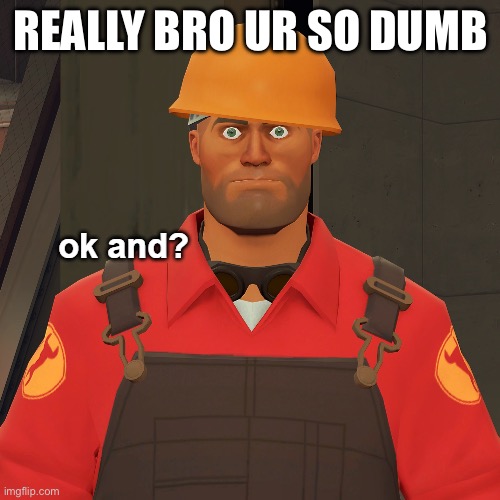 ok and? | REALLY BRO UR SO DUMB | image tagged in ok and | made w/ Imgflip meme maker