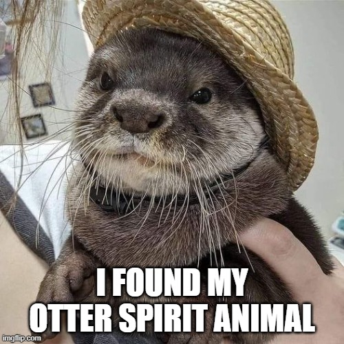 I FOUND MY OTTER SPIRIT ANIMAL | image tagged in otter | made w/ Imgflip meme maker