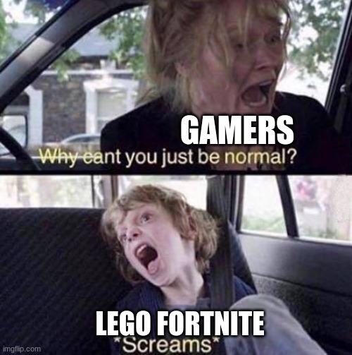 be normal | GAMERS; LEGO FORTNITE | image tagged in why can't you just be normal | made w/ Imgflip meme maker