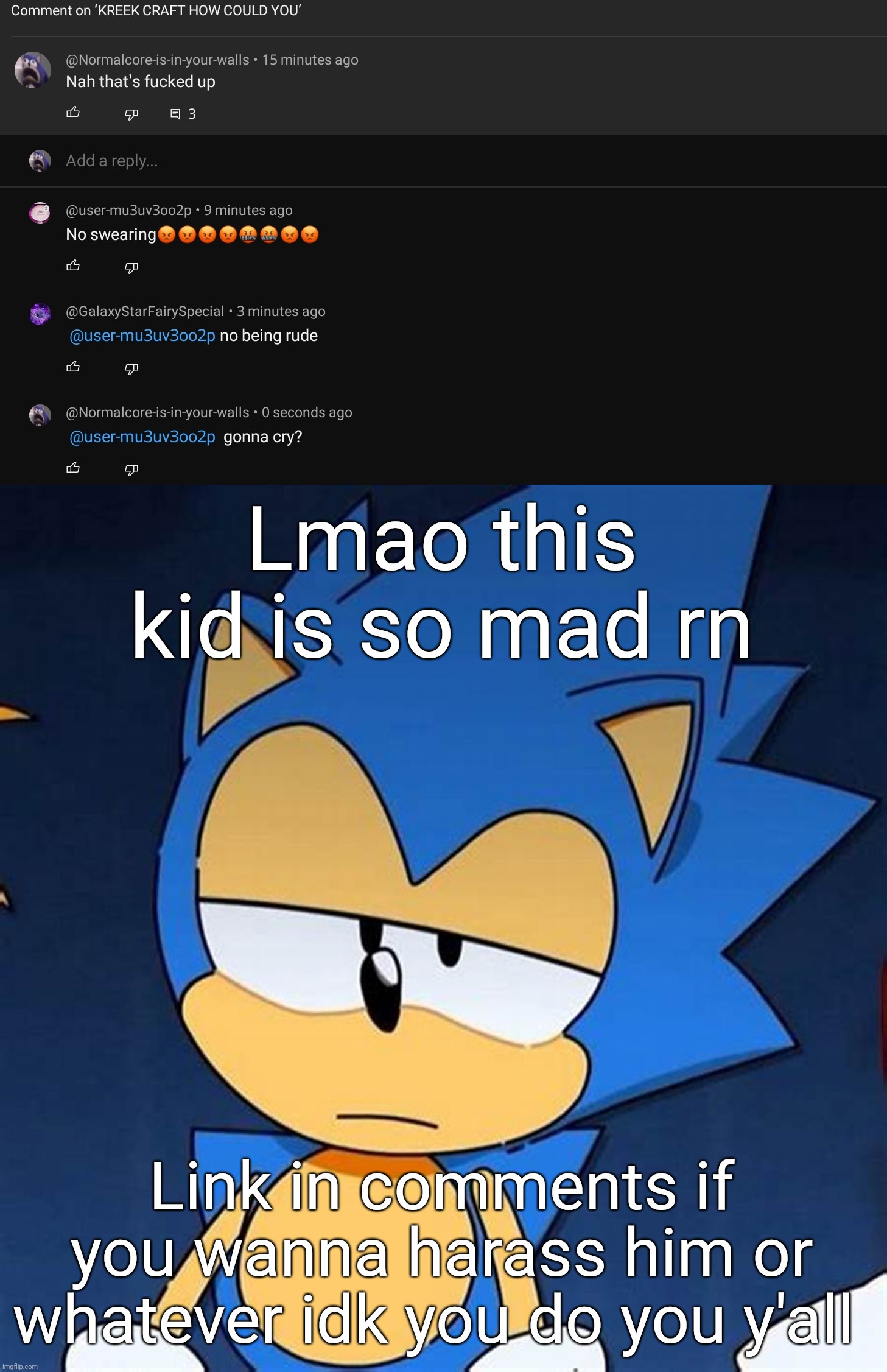 Btw this is a joke DON'T ACTUALLY HARASS HIM | Lmao this kid is so mad rn; Link in comments if you wanna harass him or whatever idk you do you y'all | image tagged in bruh | made w/ Imgflip meme maker