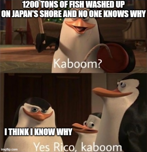 Kaboom | 1200 TONS OF FISH WASHED UP ON JAPAN'S SHORE AND NO ONE KNOWS WHY; I THINK I KNOW WHY | image tagged in kaboom | made w/ Imgflip meme maker