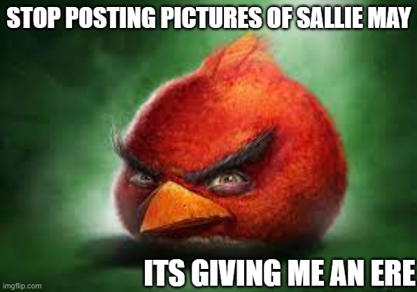Realistic Red Angry Birds | STOP POSTING PICTURES OF SALLIE MAY; ITS GIVING ME AN ERE | image tagged in realistic red angry birds | made w/ Imgflip meme maker