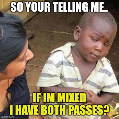 So You're Telling Me | SO YOUR TELLING ME.. IF IM MIXED I HAVE BOTH PASSES? | image tagged in so you're telling me | made w/ Imgflip meme maker
