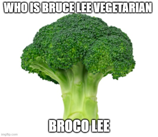 hehe | WHO IS BRUCE LEE VEGETARIAN; BROCO LEE | image tagged in brocolli | made w/ Imgflip meme maker