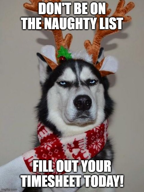 Timesheet reminder | DON'T BE ON THE NAUGHTY LIST; FILL OUT YOUR TIMESHEET TODAY! | image tagged in husky happy holidays | made w/ Imgflip meme maker