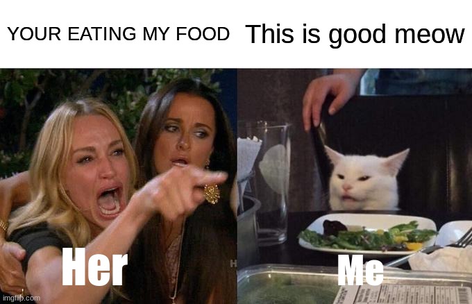 Me eating her food | YOUR EATING MY FOOD; This is good meow; Her; Me | image tagged in memes,woman yelling at cat | made w/ Imgflip meme maker