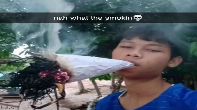 what is blud smoking | image tagged in memes | made w/ Imgflip meme maker