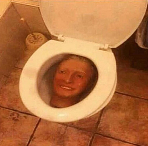 After his long struggle upwards, he finally saw daylight, but then... | image tagged in memes,middle school,toilet bowl,head | made w/ Imgflip meme maker