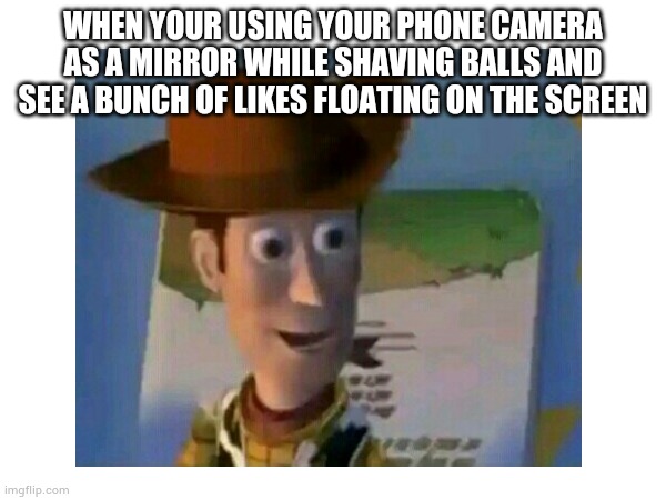 WHEN YOUR USING YOUR PHONE CAMERA AS A MIRROR WHILE SHAVING BALLS AND SEE A BUNCH OF LIKES FLOATING ON THE SCREEN | image tagged in woody,lol,funny memes | made w/ Imgflip meme maker