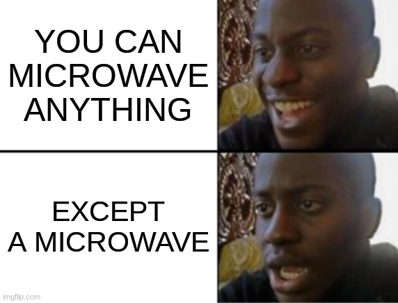 florida man vibes | YOU CAN MICROWAVE ANYTHING; EXCEPT A MICROWAVE | image tagged in oh yeah oh no | made w/ Imgflip meme maker
