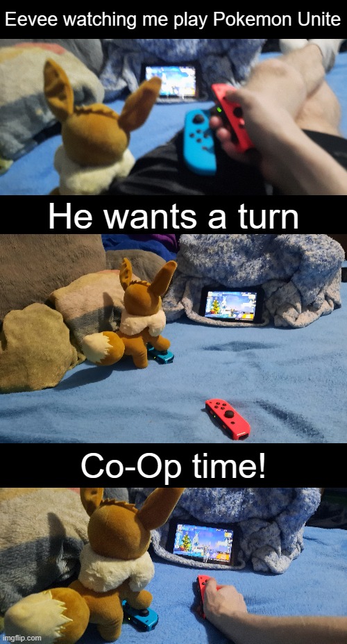 Eevee Gaming | Eevee watching me play Pokemon Unite; He wants a turn; Co-Op time! | image tagged in eevee,gaming,nintendo switch | made w/ Imgflip meme maker