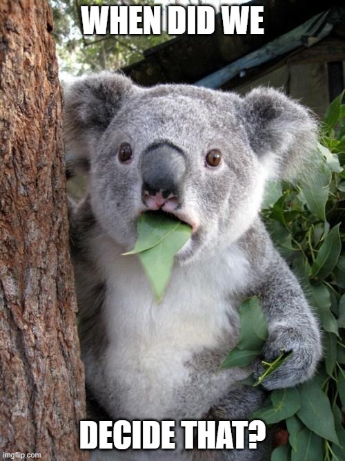 Surprised Koala Meme | WHEN DID WE; DECIDE THAT? | image tagged in memes,surprised koala | made w/ Imgflip meme maker