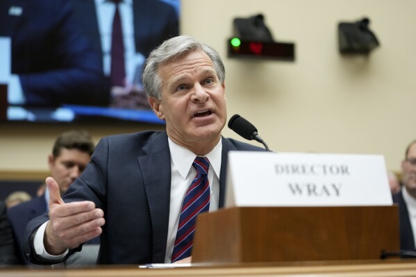 chris wray Blank Meme Template