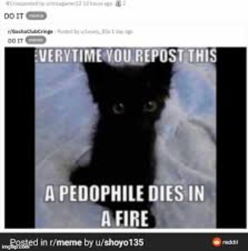 repost this | image tagged in repost this | made w/ Imgflip meme maker