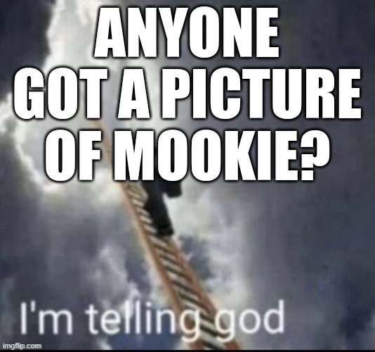 . | ANYONE GOT A PICTURE OF MOOKIE? | image tagged in i'm telling god | made w/ Imgflip meme maker