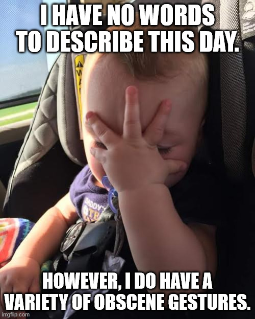 This day, amiright? | I HAVE NO WORDS TO DESCRIBE THIS DAY. HOWEVER, I DO HAVE A VARIETY OF OBSCENE GESTURES. | image tagged in frustrated baby,frustration,funny,angry,done with it | made w/ Imgflip meme maker