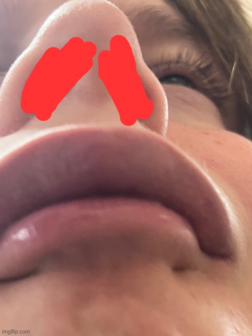 I blurred my nostrils cause icky | made w/ Imgflip meme maker